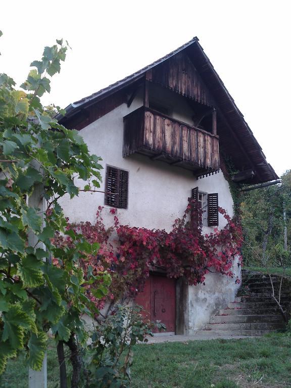 Guesthouse Zorko Gostilna Domen Smarjeske Toplice Exterior photo